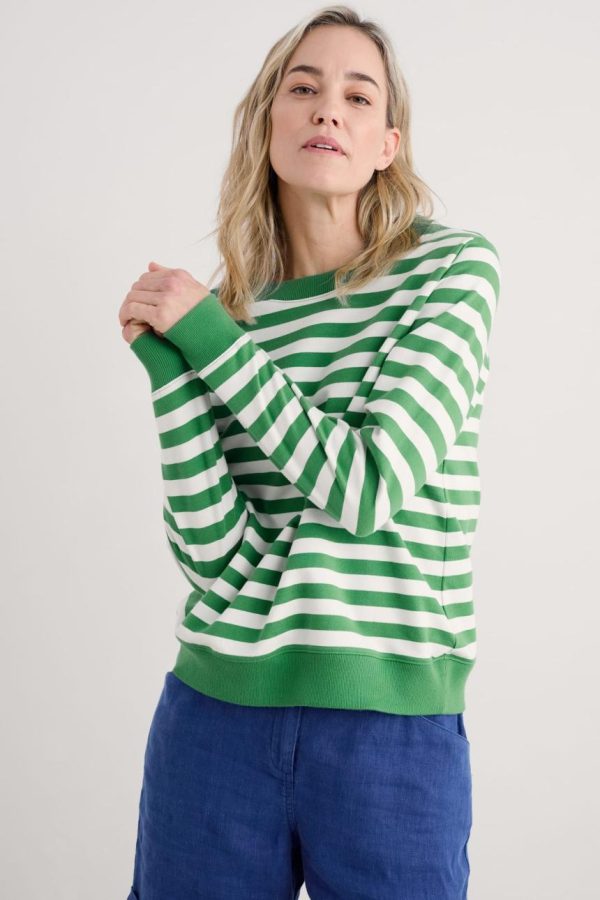 Jonidavid.shopf3a61c8a65 4